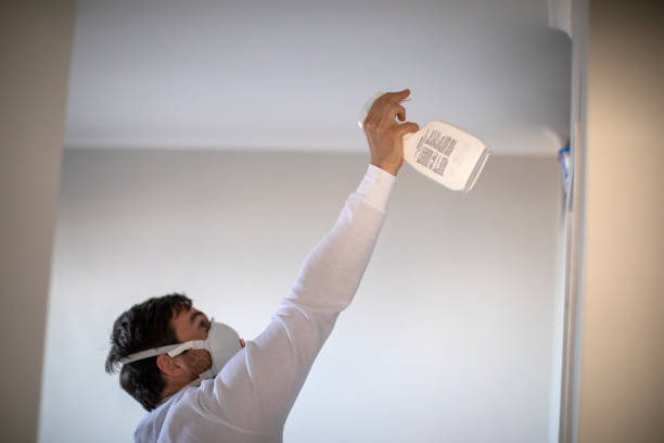 Best Mold Damage Repair  in Mountain View, CA