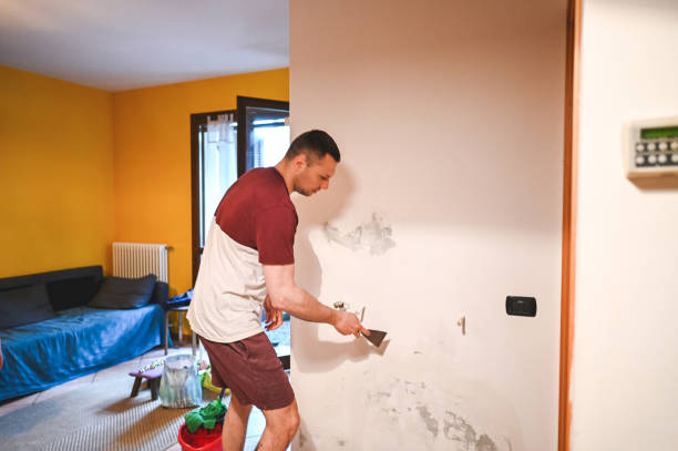 Best Mold Testing  in Mountain View, CA