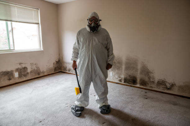 Best Crawl Space Mold Removal  in Mountain View, CA